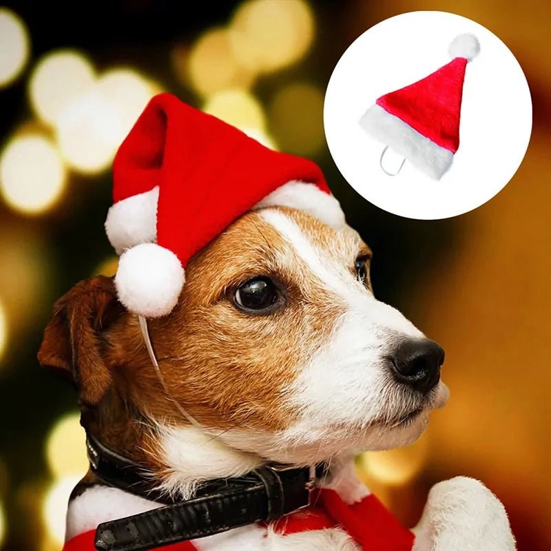 Christmas Pet Santa Hat - furrybabbies.com