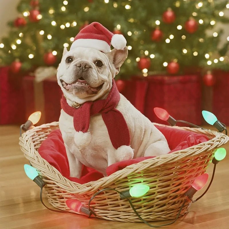 Christmas Pet Santa Hat - furrybabbies.com