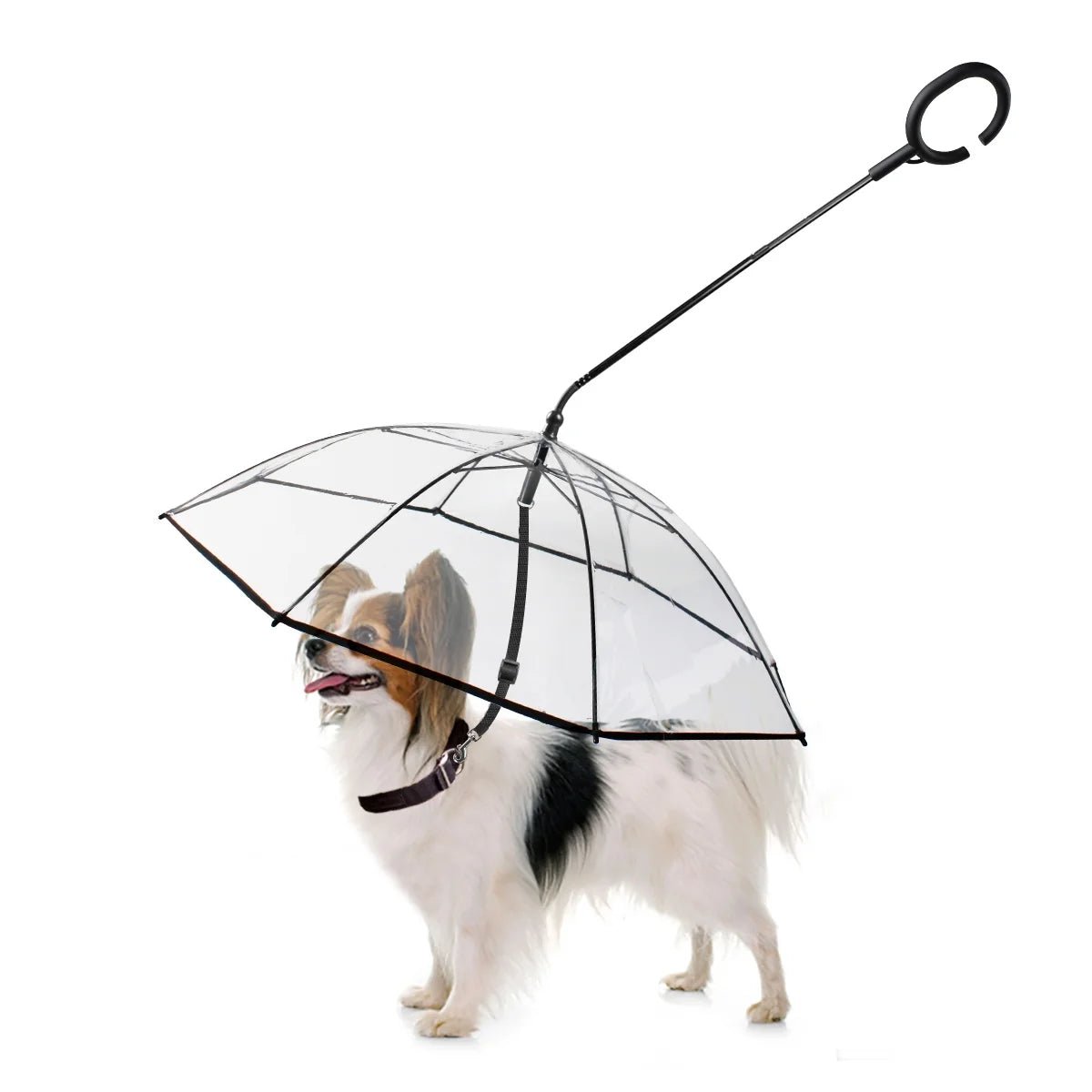 Dog Umbrella - furrybabbies