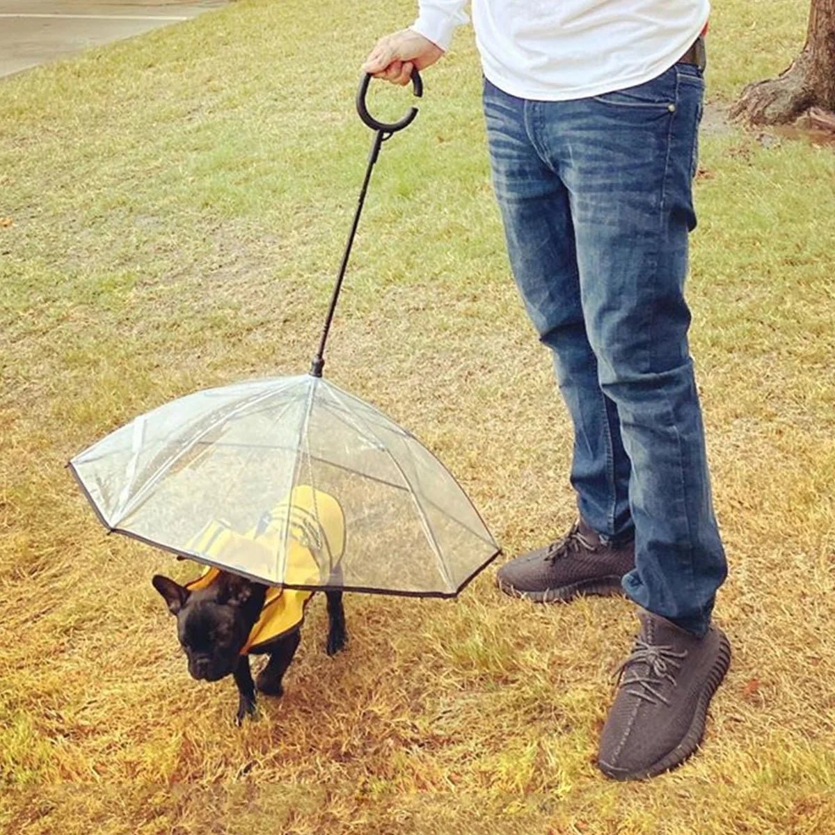 Dog Umbrella - furrybabbies