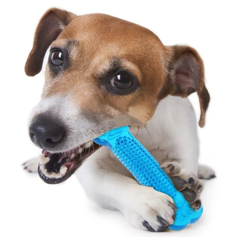 Pet Dental Chew Toy - furrybabbies.com