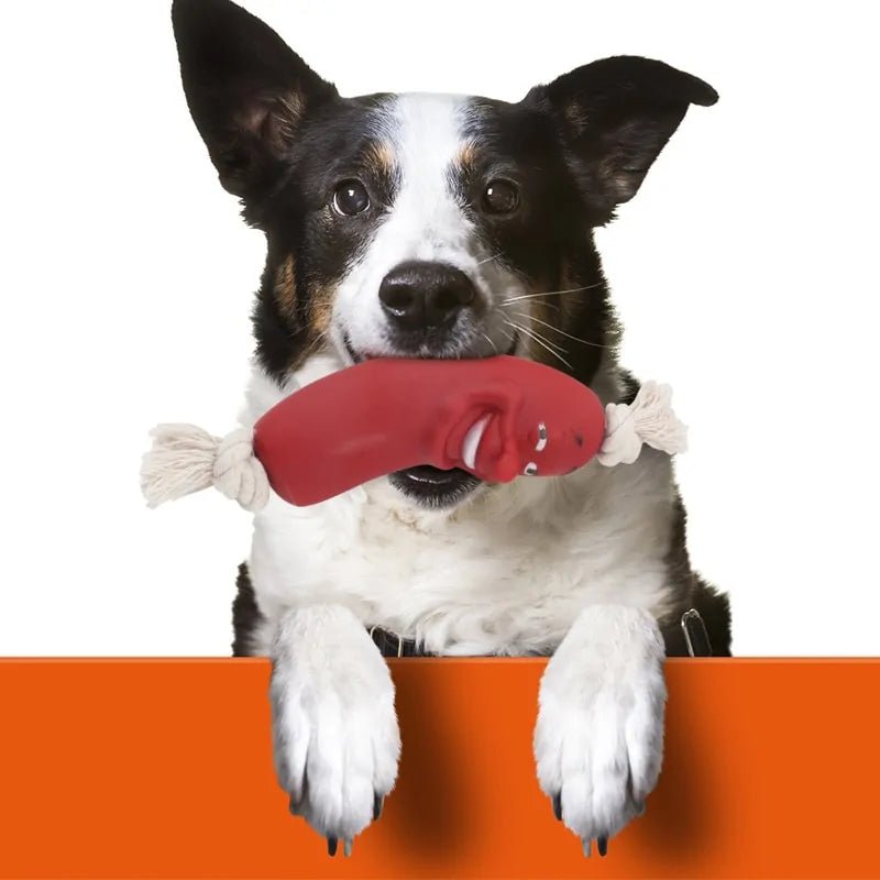 Pet Dental Chew Toy - furrybabbies.com