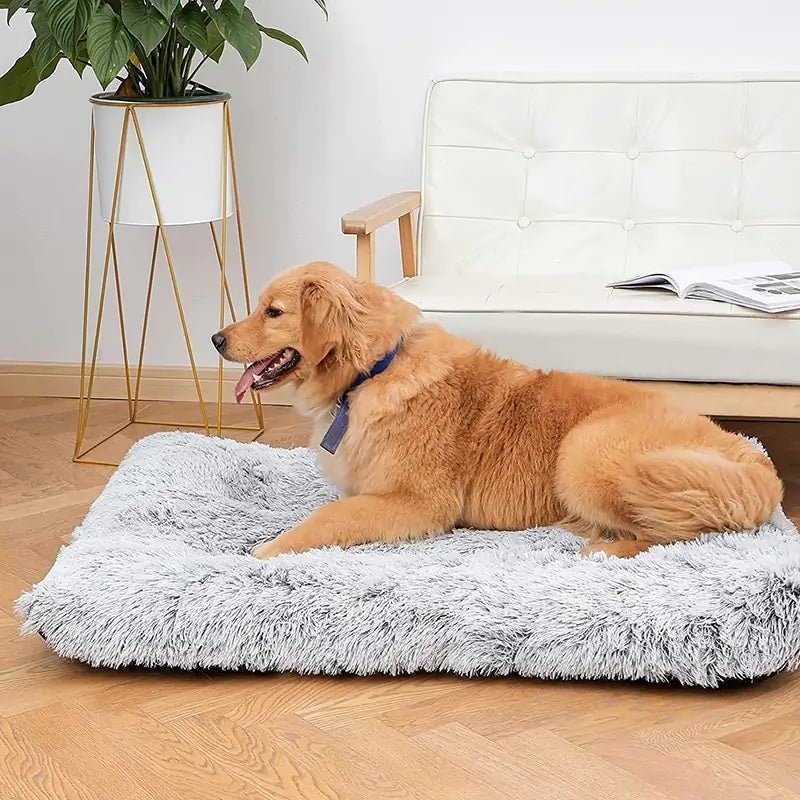 Plush Washable Dog Bed - furrybabbies.com