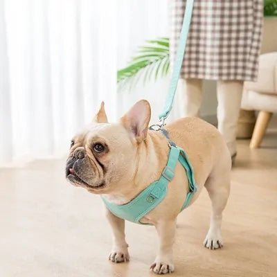 Reflective Dog Harness - furrybabbies.com