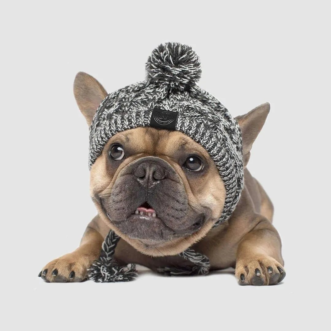 Warm Winter Pet Hat - furrybabbies.com