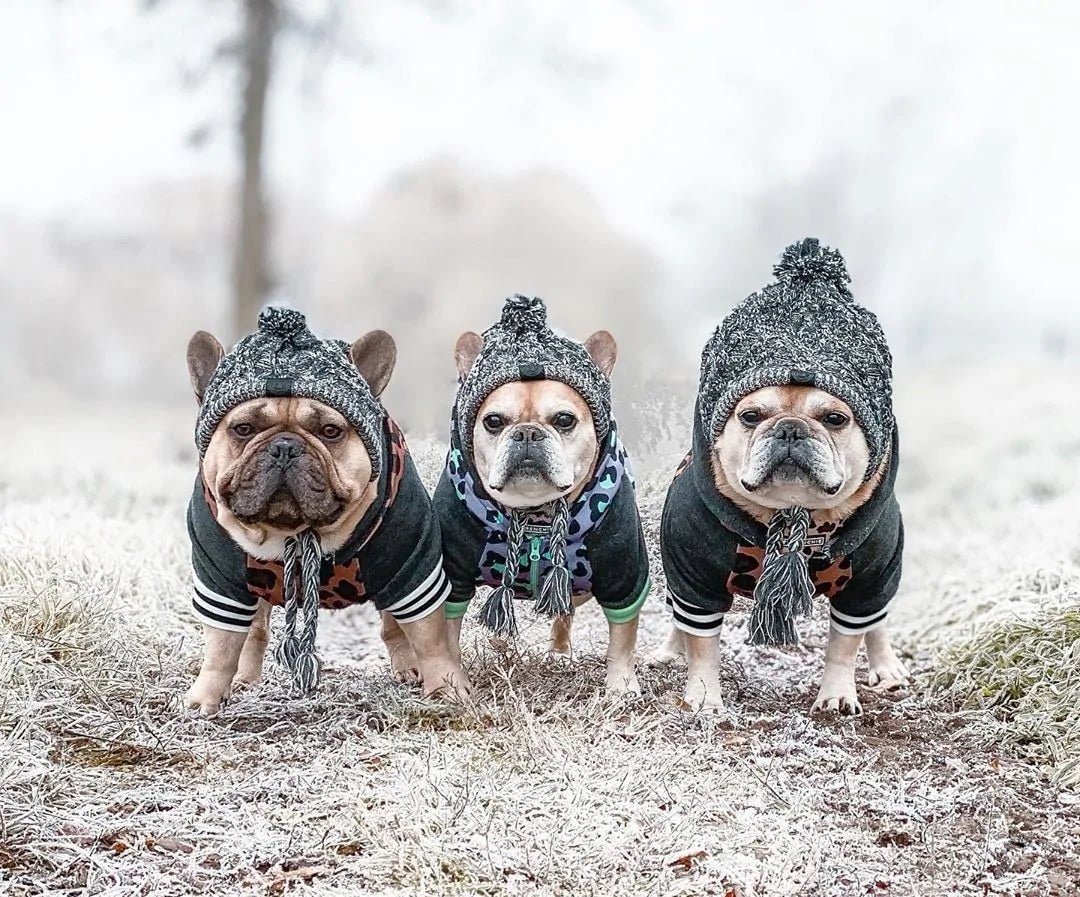 Warm Winter Pet Hat - furrybabbies.com